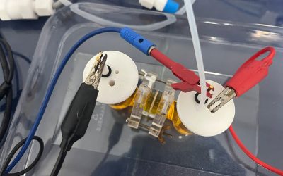 Direct Conversion of Methane and Other Low-Concentration Gases