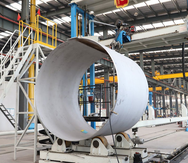 Indoor plant image for sustainable environment